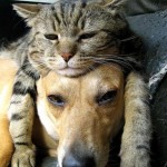 Best Friends
