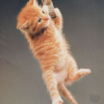 Hang in There