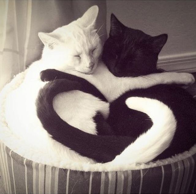 Black and White Love