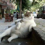 Just Chillin’