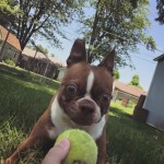 Throw it! Throw it! Throw it!