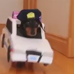 High Speed Police Chase
