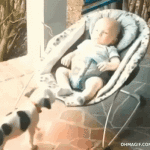 Puppy Cuddles Baby