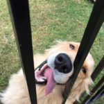 He just met you, but he loves you!