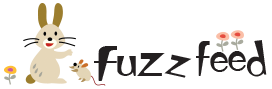 FuzzFeed